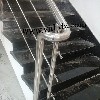 RL01:rampe d'escalier poli miroirs avec les lisses.